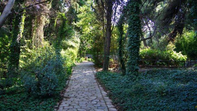 Greek Hospitality 2 Atenas Exterior foto
